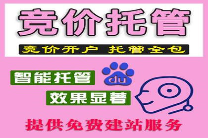 百度推广代运营案例：行业应用解析